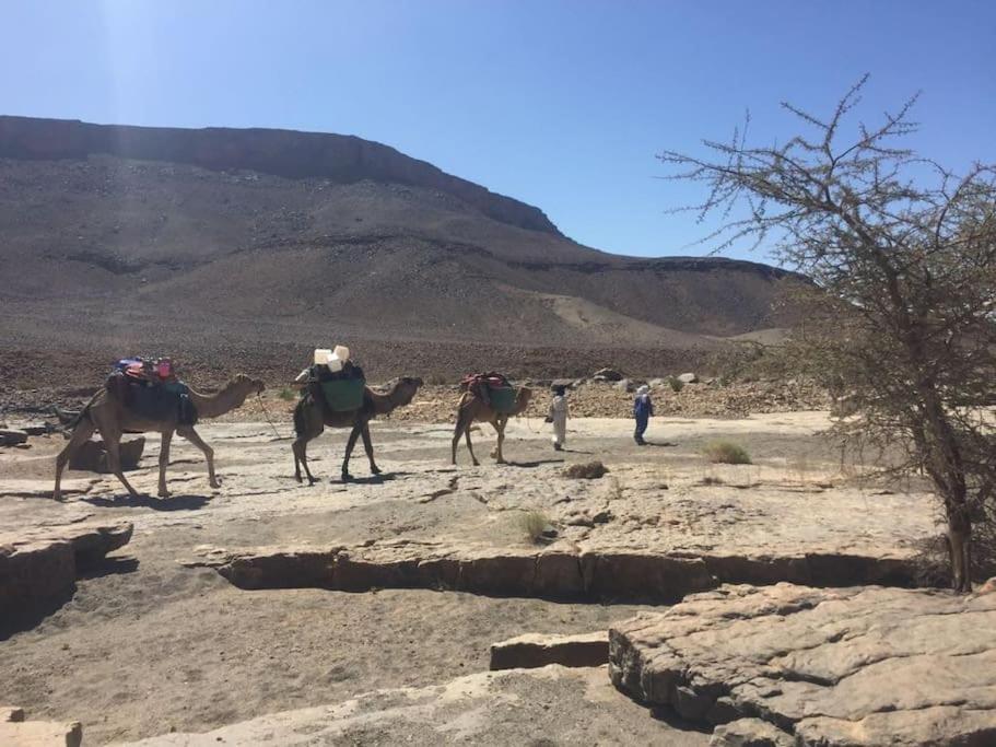 Hotel Familiale Les Grotte Ait Benhaddou Esterno foto